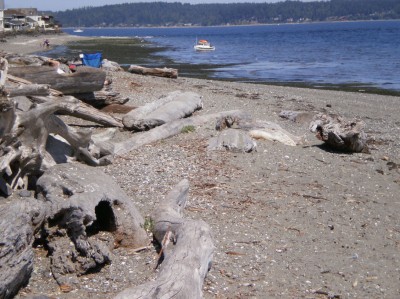 Faye Bainbridge Beach