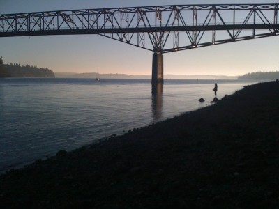 Salmon Fishing under the Agate Passage Bridge