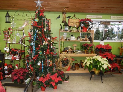 gifts valley nursery