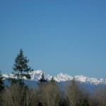Olympic Mts from Poulsbo by Betty Petersen