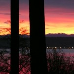 Sunrise in Kingston by Susan Henry